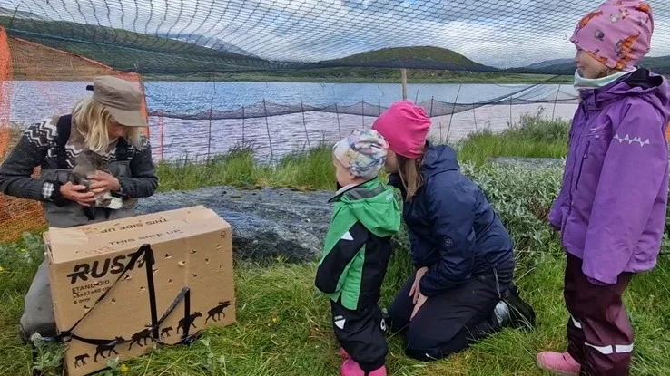 Systrarna Sunna och Ella Aurora från Baste sameby deltog i fjällgåssläppet i Gällivare. 