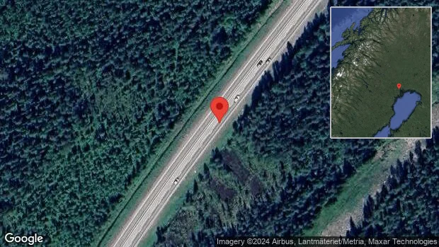 Ren innanför viltstängslet på E4