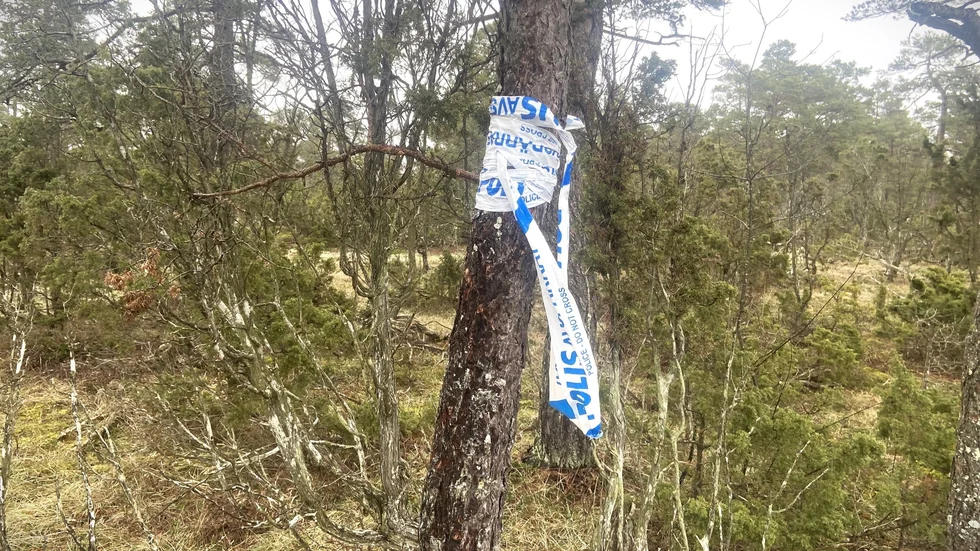 Det var i ett skogsområde i Alskog den 3 februari som knivskärningen skedde.