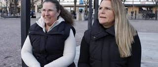 Vad vill egentligen Motalaborna ha i sin stadskärna?