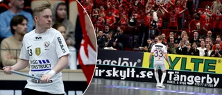 "Hybriden" saknar förklaring – på olösta gåtan