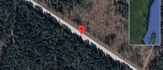 Rådjur på vägen kan skapa fara på E22