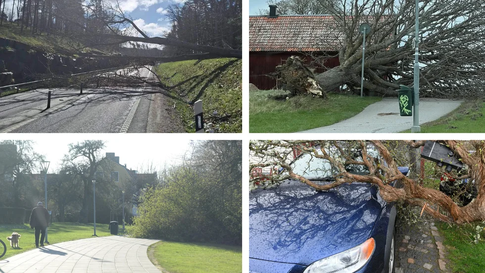 Vinden har ställt till det rejält runt om i Östergötland under söndagen.