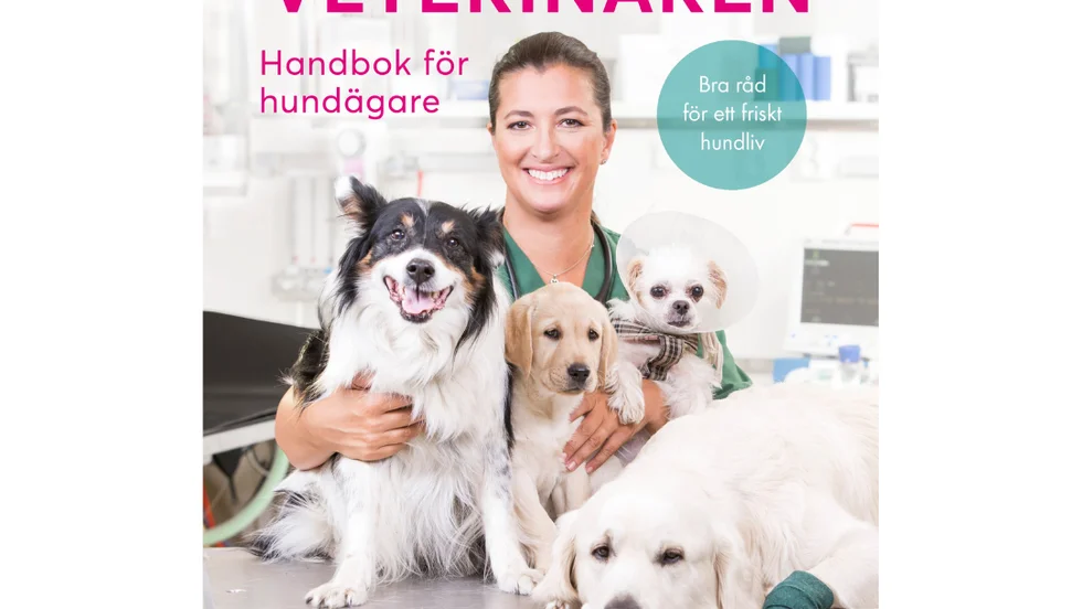Så slipper du veterinären : Handbok för hundägare