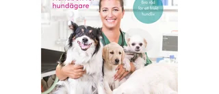 Så slipper du veterinären : Handbok för hundägare 