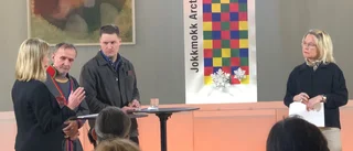 Norrbotten behöver mer elektricitet