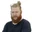 Profilbild för Linus Elsinen