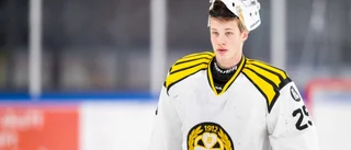 Dagen D för övergångar – då förstärker Piteå Hockey truppen