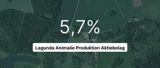 Här är siffrorna som visar hur det gick för Lagunda Animalie Produktion Aktiebolag senaste året