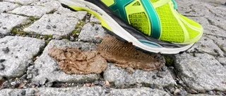 Så ska hundbajset kastas – och här ska det inte vara