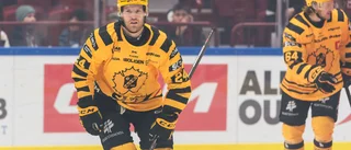 Skellefteås stjärna lever upp till hypen som bästa förvärv i SHL