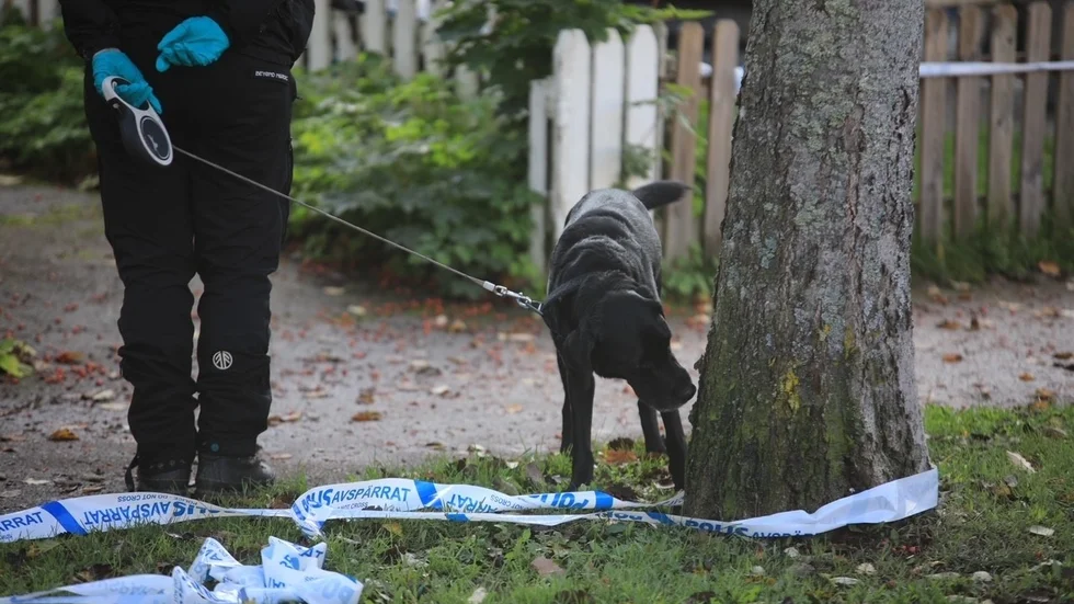 Vid skjutningen i Nyby i höstas träffades fasaderna till två bostäder. Nu åtalas två unga män för mordförsök. 