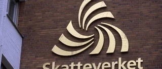 Näringsförbud och böter hotar företagarbröder