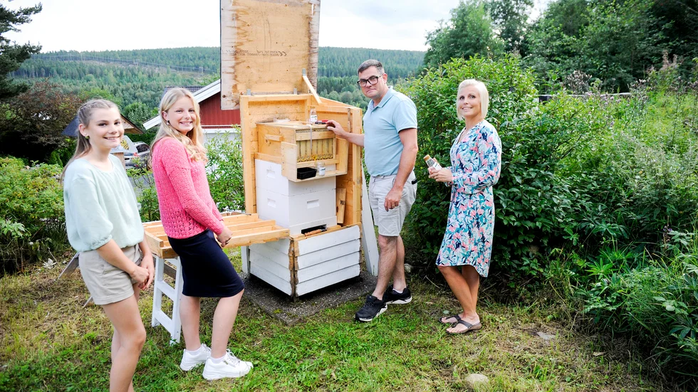 Bikuporna är av typen Flow hive som innebär att man inte behöver slunga ramarna. Honungen tappas direkt från kupan in i burkar eller flaskor och under säsongen blir det olika smaker beroende på vad bina drar på för blommor. Det blir cirka 10-20 kilo honung per samhälle.