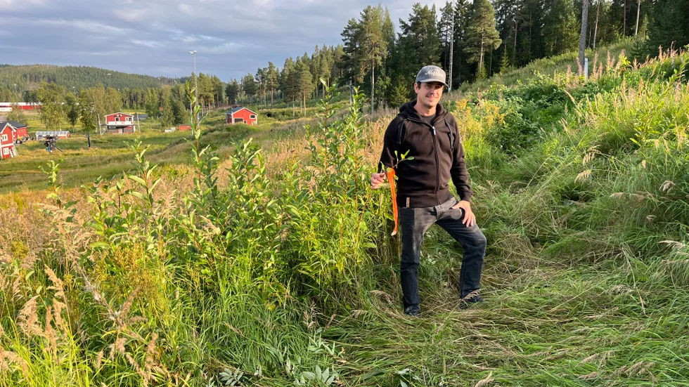 I samarbete med Pite mountainbikeförening har en bana snitslats från toppen av barnbandet till big jump i mellanbacken. "Det blir en minivariant av barn-downhill", säger David Gunnarstedt, enhetschef för Lindbäcksstadion.