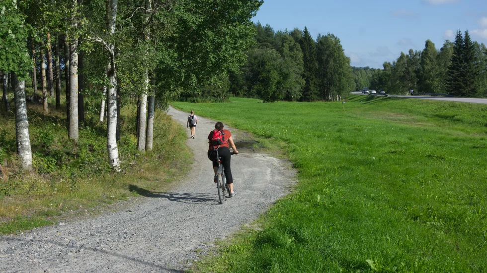 Björkskataleden är en av de högst prioriterade cykelvägarna i kommunens utbyggnadsplan. I dag är det en grusad bana.