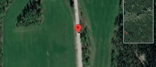 Träd över vägen påverkar trafiken på väg 131
