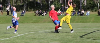 Högsjös "grodor" blev kostsamma 