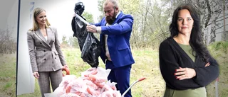 Folklistan - Pengar, populism och politikerförakt