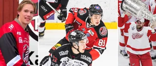 NHL-profilens son flyttar hem – är klar för Piteå HC