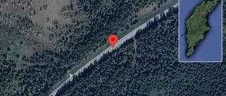 Problem i trafiken efter nedfallna träd på väg 147