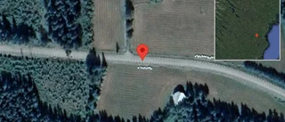 Singelolycka orsakar stopp på väg 791