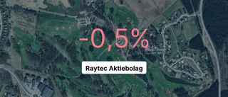 Årsredovisningen klar: Så gick det för Raytec Aktiebolag
