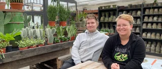 Följ med på en smygtitt i nya handelsträdgården