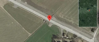 Trafikverket varnar för älg på vägen på väg 35