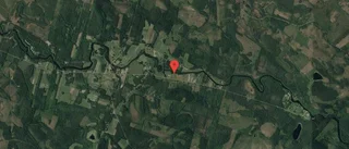 Ny ägare till skog i Byske
