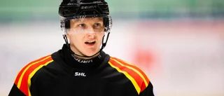 Mannberg lämnar Brynäs – klar för allsvensk klubb