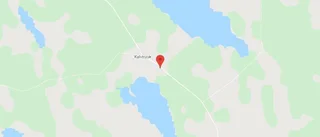Nya ägare till skog i Kalvträsk