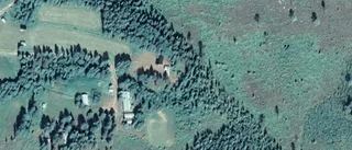 Mindre hus på 50 kvadratmeter sålt i Kalix - priset: 150 000 kronor