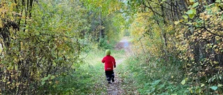 Läsarbilden: Bus i trollskogen
