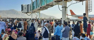 Kaos i Kabul sedan talibanerna tagit över