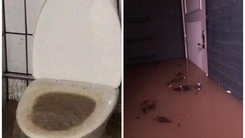 Skutskärsbon Rickard Carlssons bilder från arbetslokalen i Gävle 