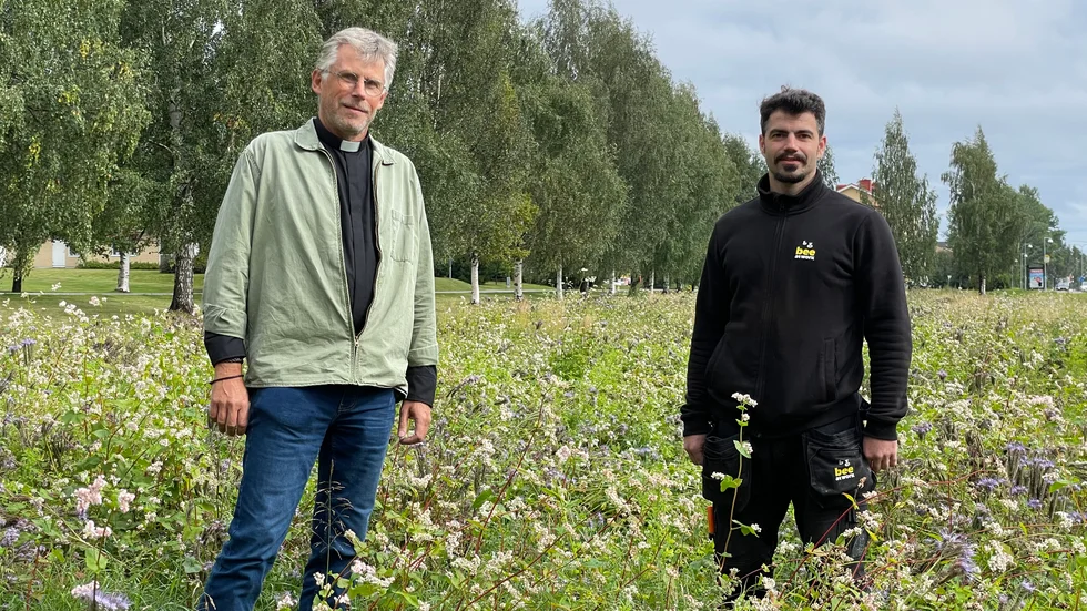 Krykoherden Richard Asplund, Piteå församling och egenföretagaren Andreas Schleiss gläds åt att sommarängen växte till sig trots den regnfattiga sommaren.