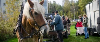 Torgny Oscarsson bjuder Myntans hyresgäster på en tur med häst och vagn