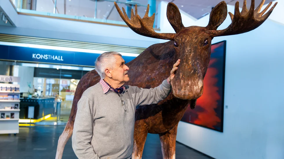 Den stora älgtjuren är redo för Gunnar Hanssons utställning i Luleå konsthall.