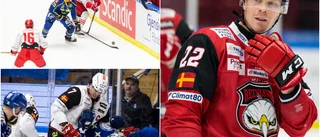 SHL-profilen från Piteå varnar för danske backjätten: "Han går inte att flytta på"
