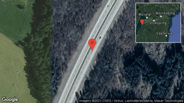 Rådjur på vägen