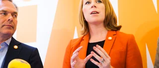 Linder: "Centern och Liberalerna bär i grunden skulden"