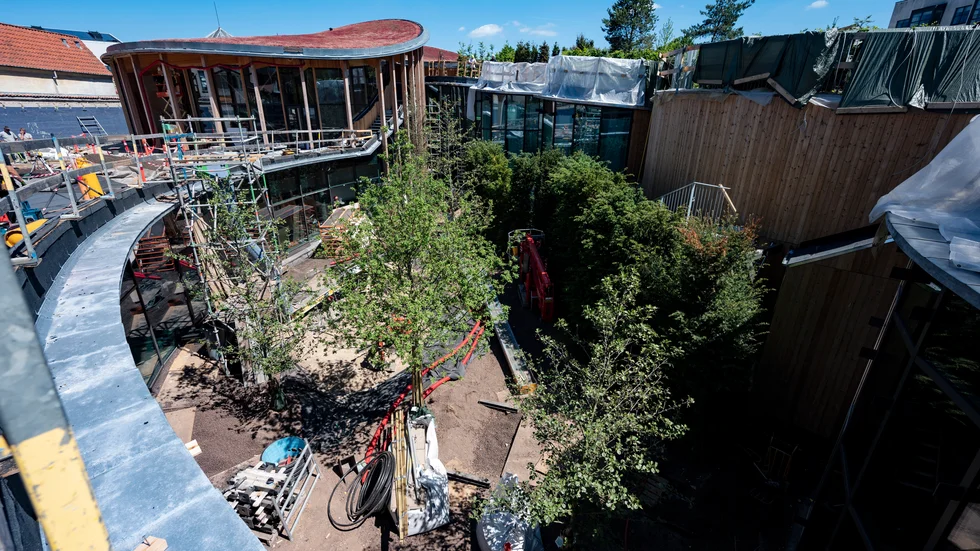 Snart öppnar HC Andersens hus i Odense, men det byggs och planteras in i det sista.