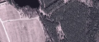 Nya ägare till stuga i Kisa - 1 307 000 kronor blev priset