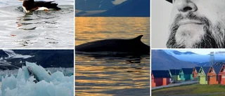 Naturguiden mötte sitt paradis på Svalbard