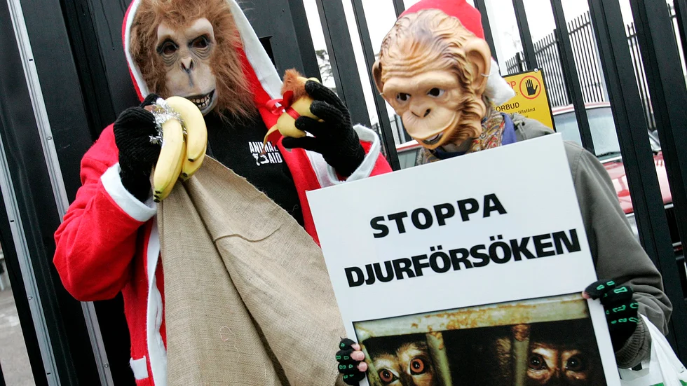 Skribenten vill stoppa djurförsöken.