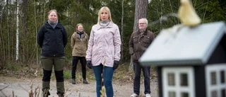 Villaägare bestörta när idyllen förstörs med nya hus
