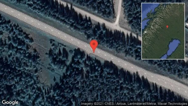 Renar på vägen på E10
