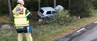 Bilist körde in i träd – misstänks för rattfylleri