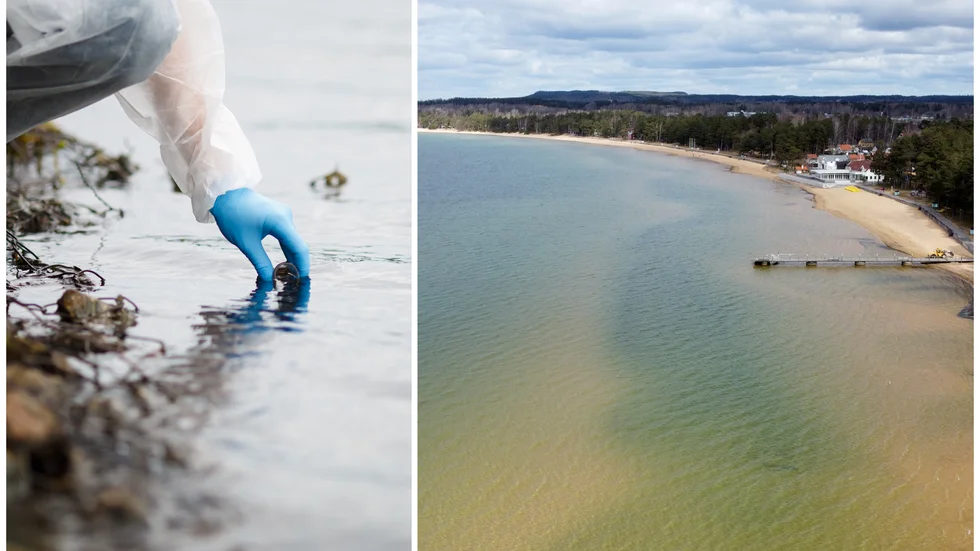 Under torsdagseftermiddagen skrev Motala kommun på sin hemsida att man avråder från att bada vid flera badplatser i Vättern. 